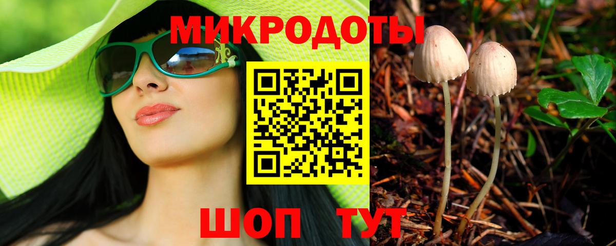 Галлюциногенные грибы Psilocybe  купить  цена  Рассказово  Вход с VPN 