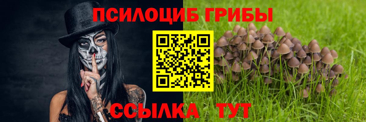 Галлюциногенные грибы ЛСД Рассказово